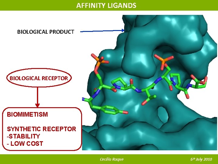AFFINITY LIGANDS BIOLOGICAL PRODUCT BIOLOGICAL RECEPTOR BIOMIMETISM SYNTHETIC RECEPTOR -STABILITY - LOW COST Cecília