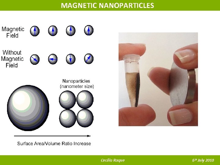 MAGNETIC NANOPARTICLES Cecília Roque 6 th July 2010 
