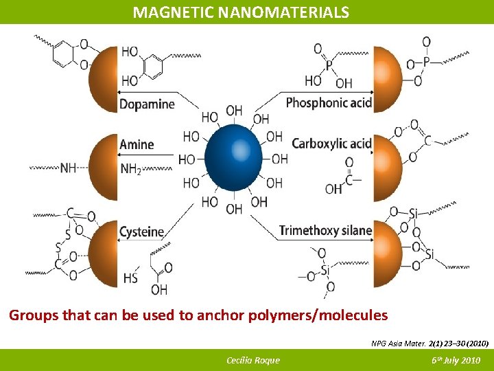 MAGNETIC NANOMATERIALS Groups that can be used to anchor polymers/molecules NPG Asia Mater. 2(1)