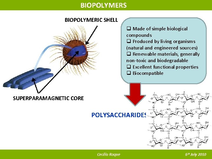 BIOPOLYMERS BIOPOLYMERIC SHELL q Made of simple biological compounds q Produced by living organisms