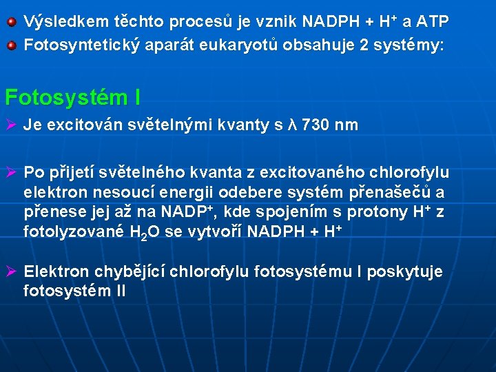Výsledkem těchto procesů je vznik NADPH + H+ a ATP Fotosyntetický aparát eukaryotů obsahuje