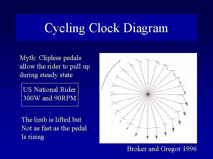 Cycling Clock Diagram Myth: Clipless pedals allow the rider to pull up during steady