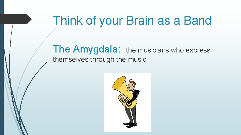 Think of your Brain as a Band The Amygdala: the musicians who express themselves