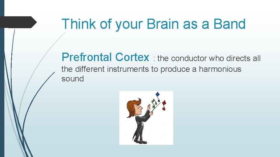 Think of your Brain as a Band Prefrontal Cortex : the conductor who directs