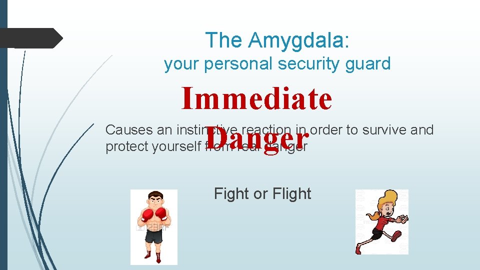 The Amygdala: your personal security guard Immediate Causes an instinctive reaction in order to