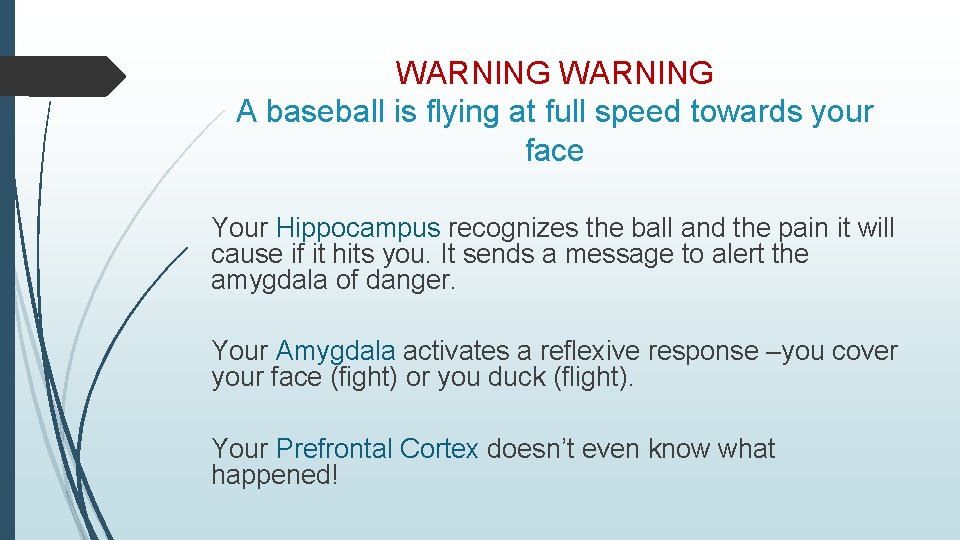 WARNING A baseball is flying at full speed towards your face Your Hippocampus recognizes