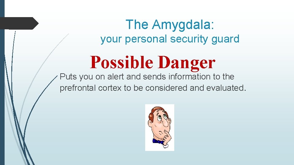 The Amygdala: your personal security guard Possible Danger Puts you on alert and sends