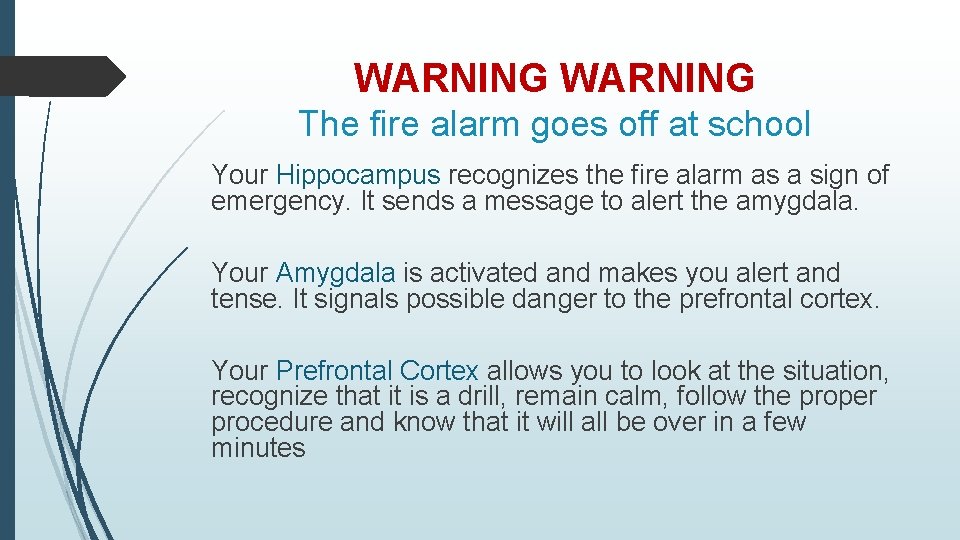 WARNING The fire alarm goes off at school Your Hippocampus recognizes the fire alarm