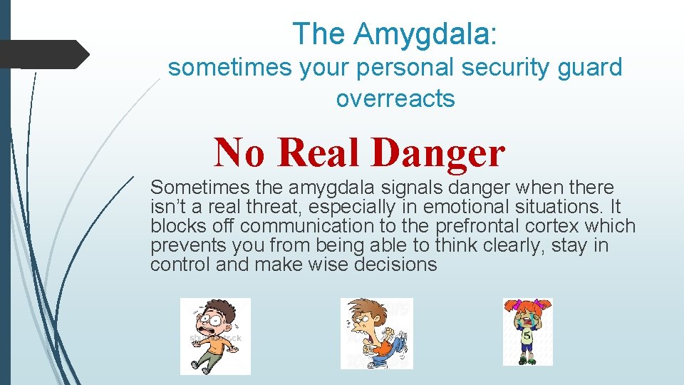 The Amygdala: sometimes your personal security guard overreacts No Real Danger Sometimes the amygdala