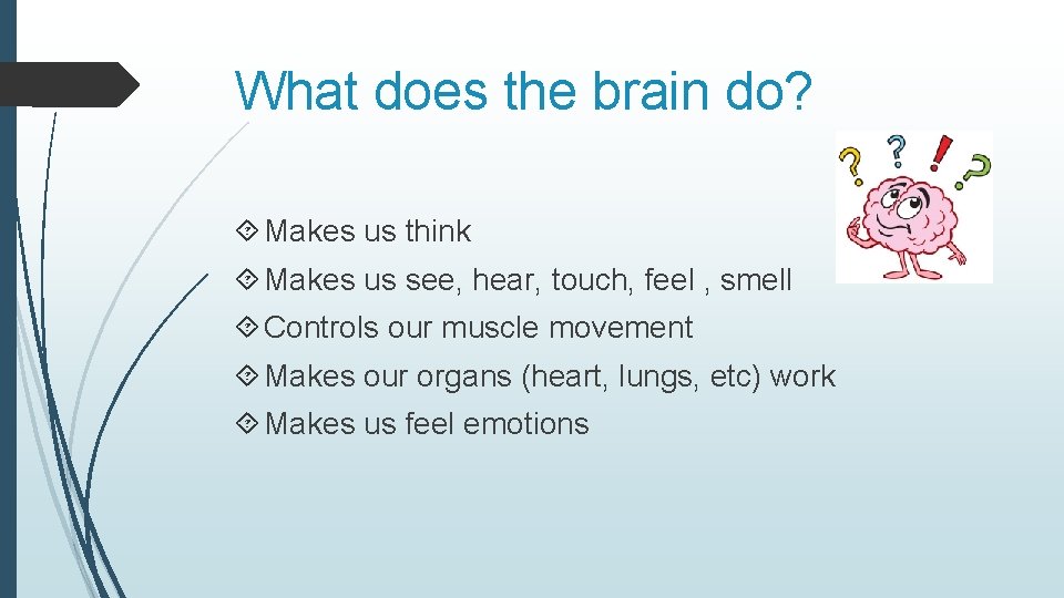 What does the brain do? Makes us think Makes us see, hear, touch, feel