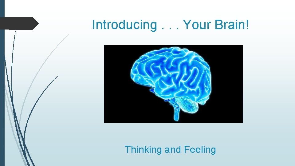 Introducing. . . Your Brain! Thinking and Feeling 