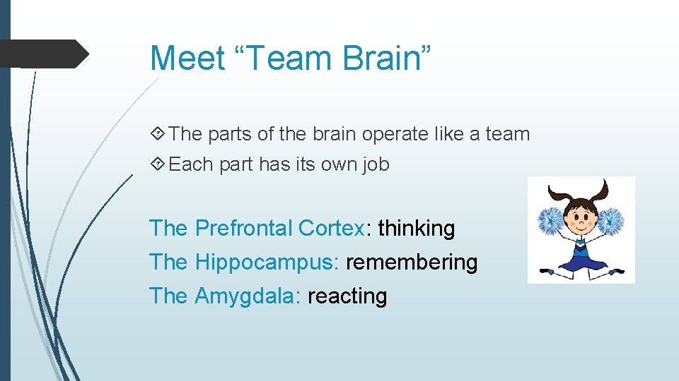 Meet “Team Brain” The parts of the brain operate like a team Each part