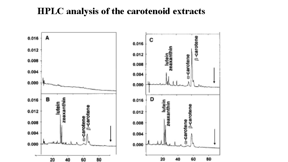 HPLC analysis of the carotenoid extracts 