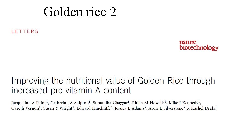 Golden rice 2 