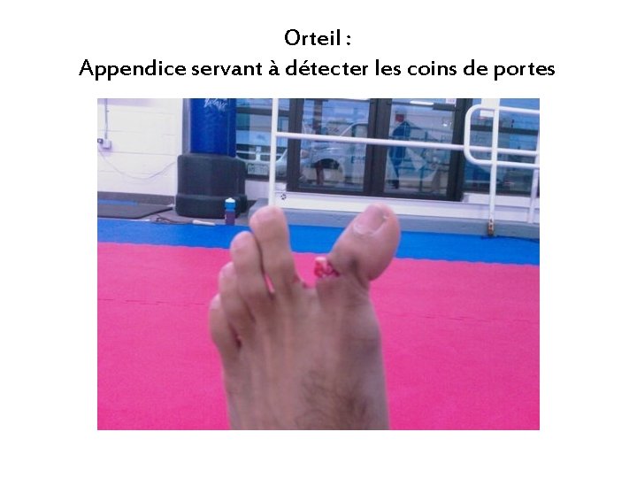 Orteil : Appendice servant à détecter les coins de portes 