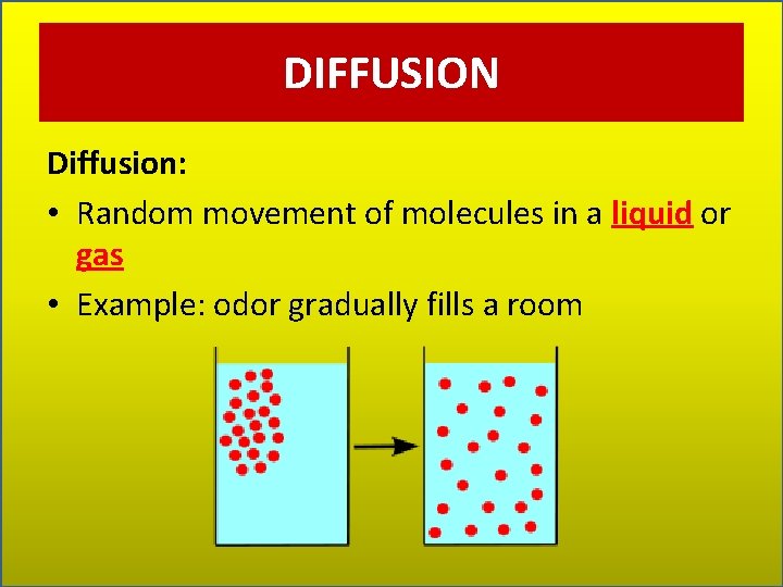 DIFFUSION Diffusion: • Random movement of molecules in a liquid or gas • Example:
