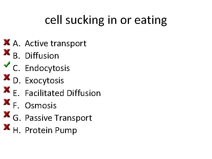 cell sucking in or eating A. B. C. D. E. F. G. H. Active