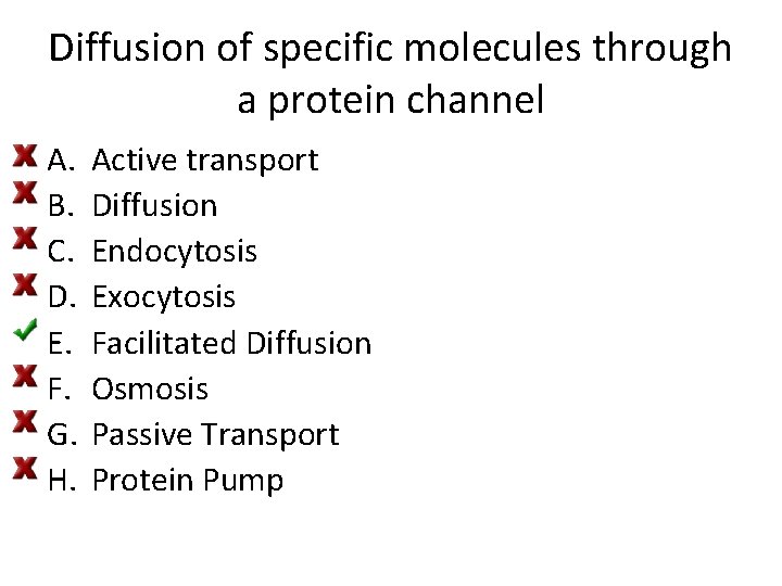 Diffusion of specific molecules through a protein channel A. B. C. D. E. F.