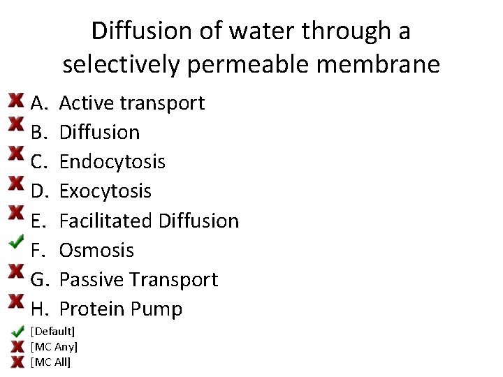 Diffusion of water through a selectively permeable membrane A. B. C. D. E. F.