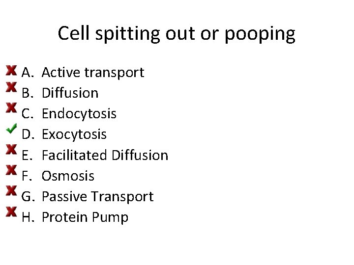 Cell spitting out or pooping A. B. C. D. E. F. G. H. Active