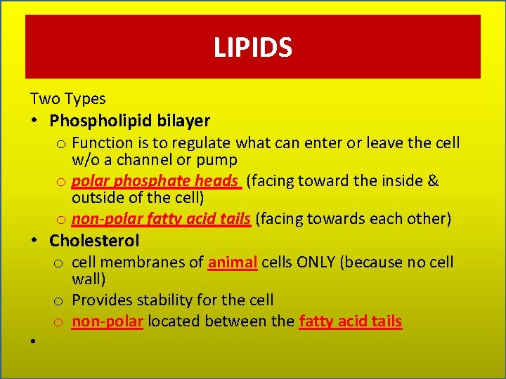 LIPIDS Two Types • Phospholipid bilayer o Function is to regulate what can enter