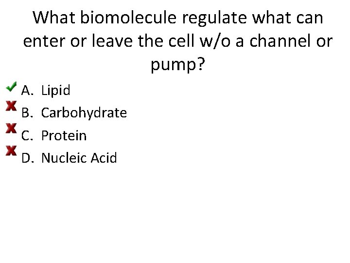 What biomolecule regulate what can enter or leave the cell w/o a channel or