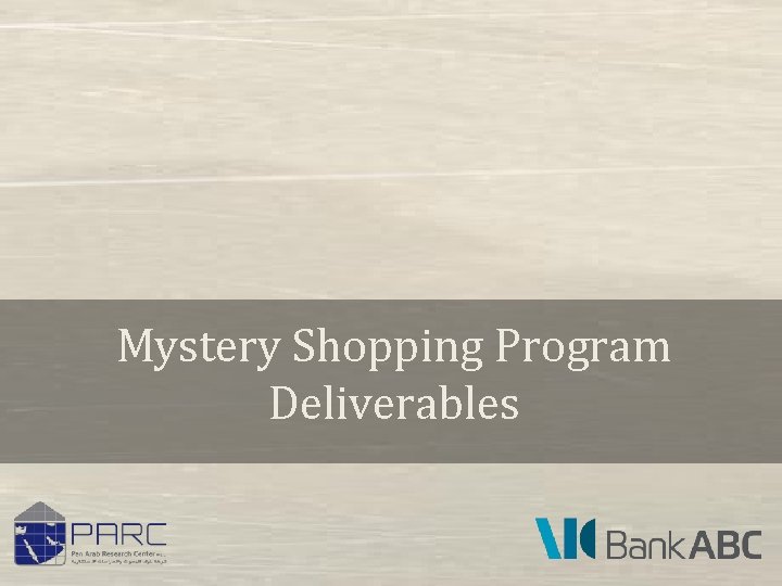 Mystery Shopping Program Deliverables 