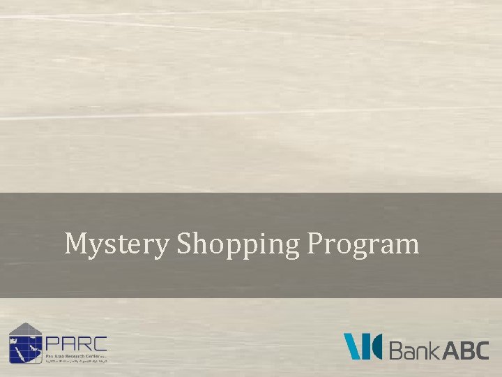 Mystery Shopping Program 