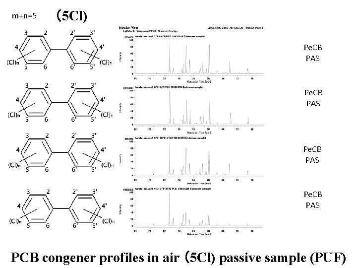 m+n=5 （5 Cl) Pe. CB PAS PCB congener profiles in air （5 Cl) passive