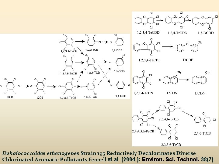 Dehalococcoides ethenogenes Strain 195 Reductively Dechlorinates Diverse Chlorinated Aromatic Pollutants Fennell et al (2004
