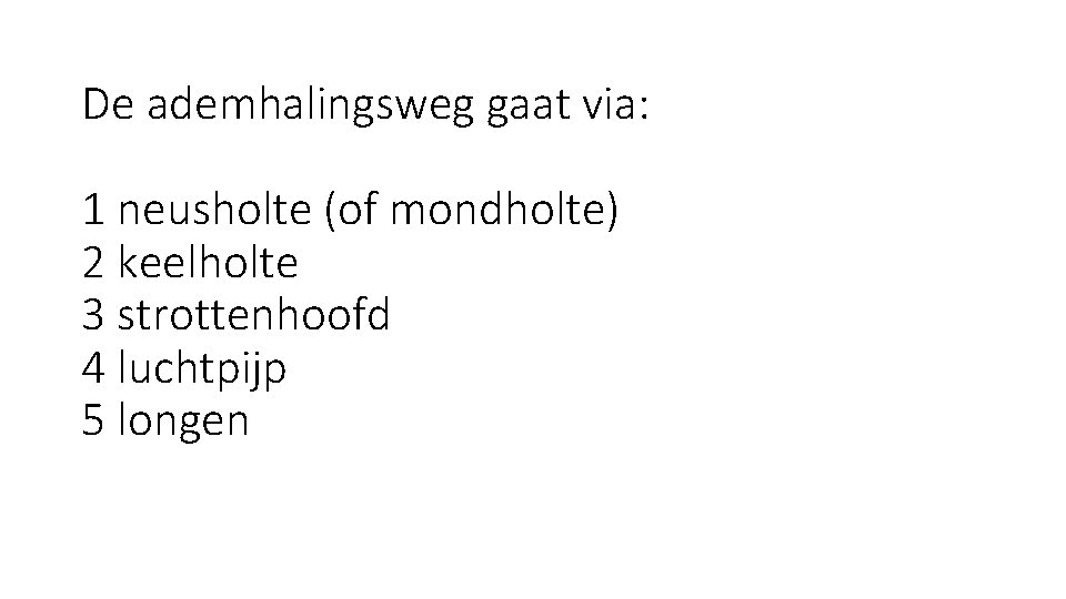 De ademhalingsweg gaat via: 1 neusholte (of mondholte) 2 keelholte 3 strottenhoofd 4 luchtpijp