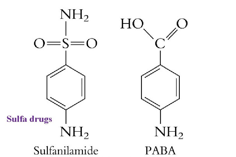 Sulfa drugs 