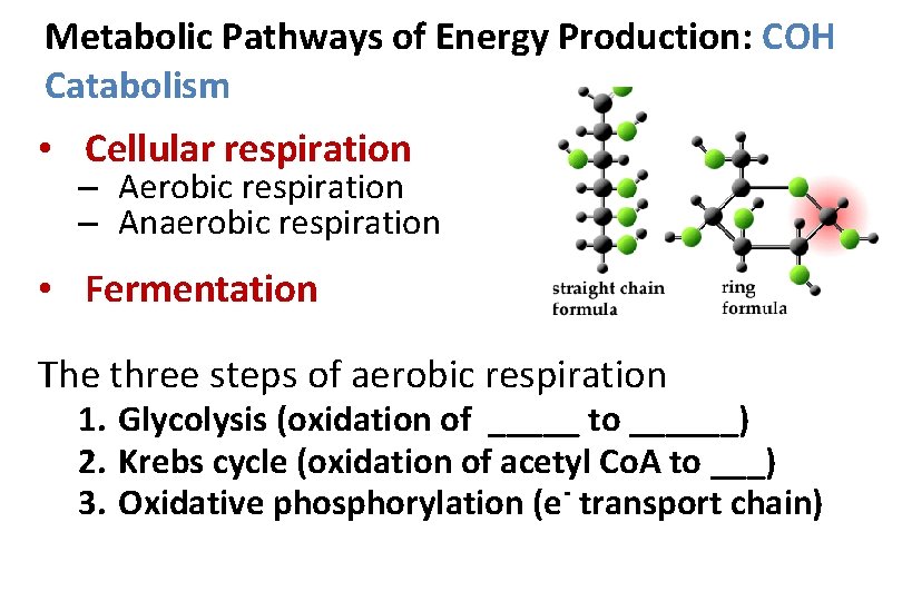Metabolic Pathways of Energy Production: COH Catabolism • Cellular respiration – Aerobic respiration –