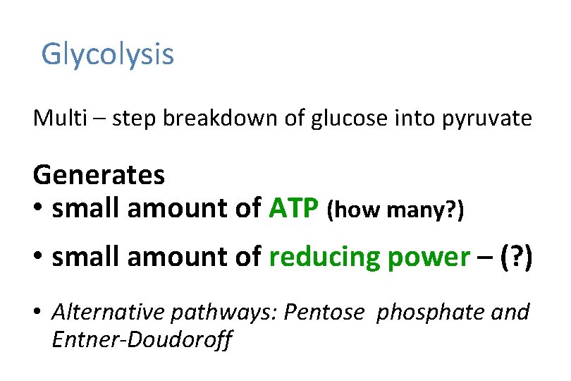 Glycolysis Multi – step breakdown of glucose into pyruvate Generates • small amount of