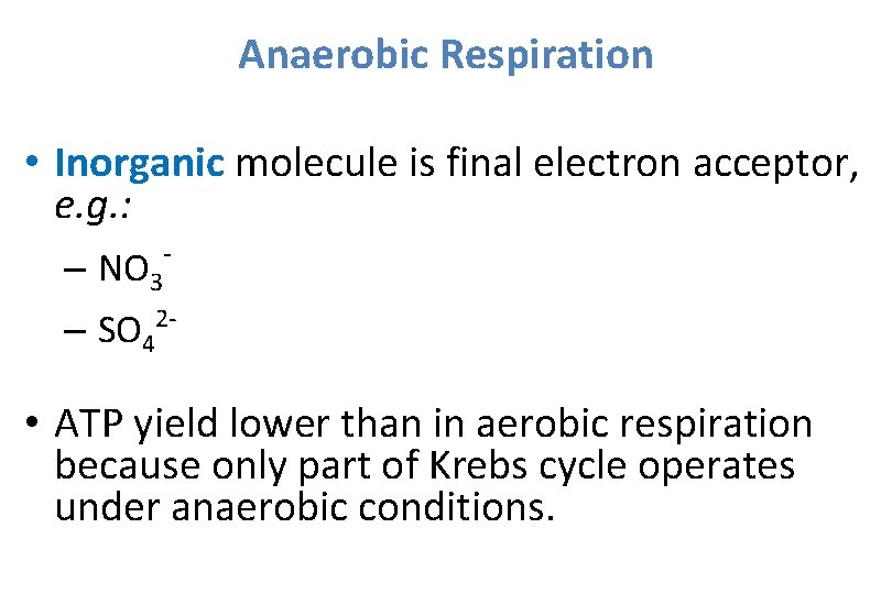 Anaerobic Respiration • Inorganic molecule is final electron acceptor, e. g. : – NO