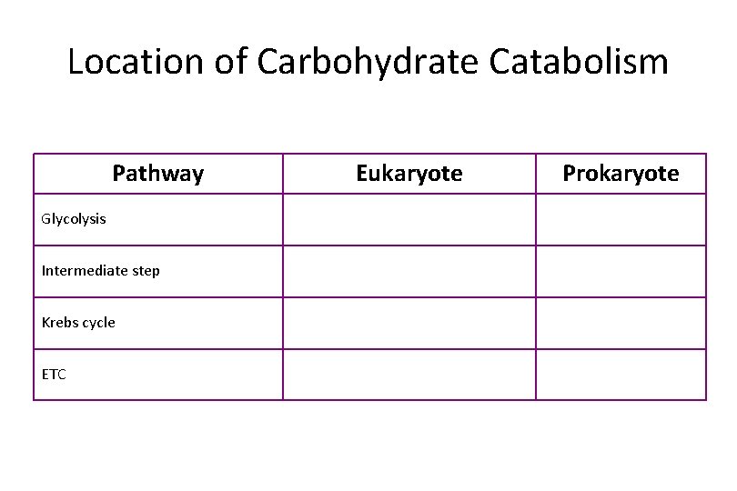 Location of Carbohydrate Catabolism Pathway Glycolysis Intermediate step Krebs cycle ETC Eukaryote Prokaryote 