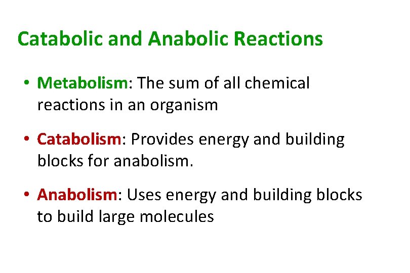 Catabolic and Anabolic Reactions • Metabolism: The sum of all chemical reactions in an