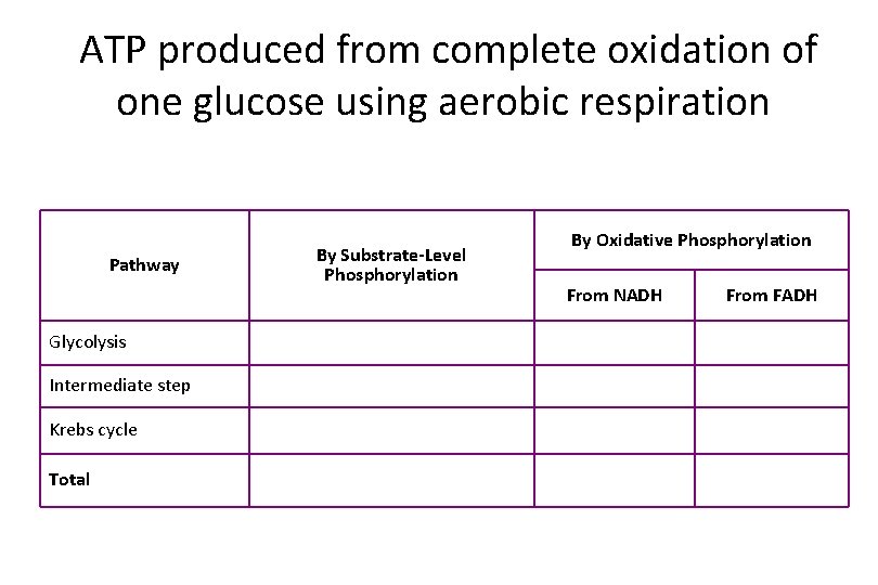 ATP produced from complete oxidation of one glucose using aerobic respiration Pathway Glycolysis Intermediate