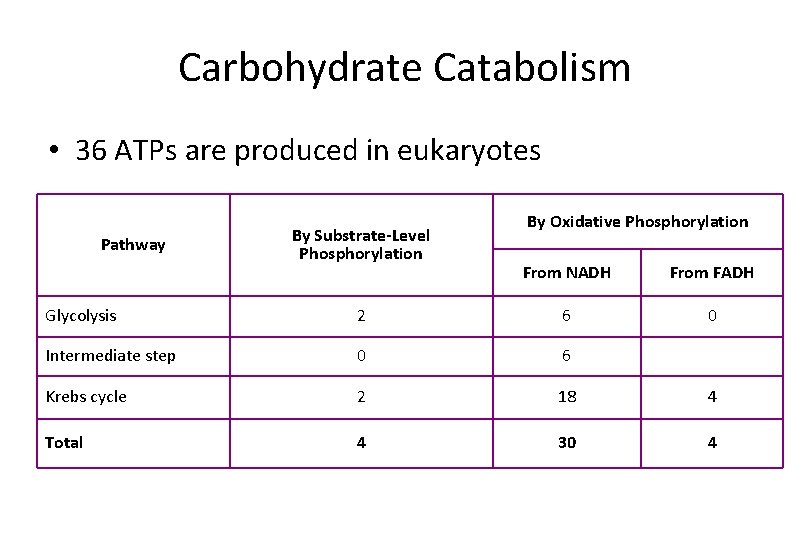 Carbohydrate Catabolism • 36 ATPs are produced in eukaryotes Pathway By Substrate-Level Phosphorylation By