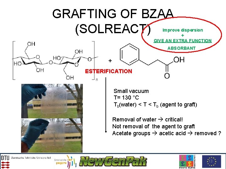 GRAFTING OF BZAA (SOLREACT) Improve dispersion + GIVE AN EXTRA FUNCTION ABSORBANT + ESTERIFICATION