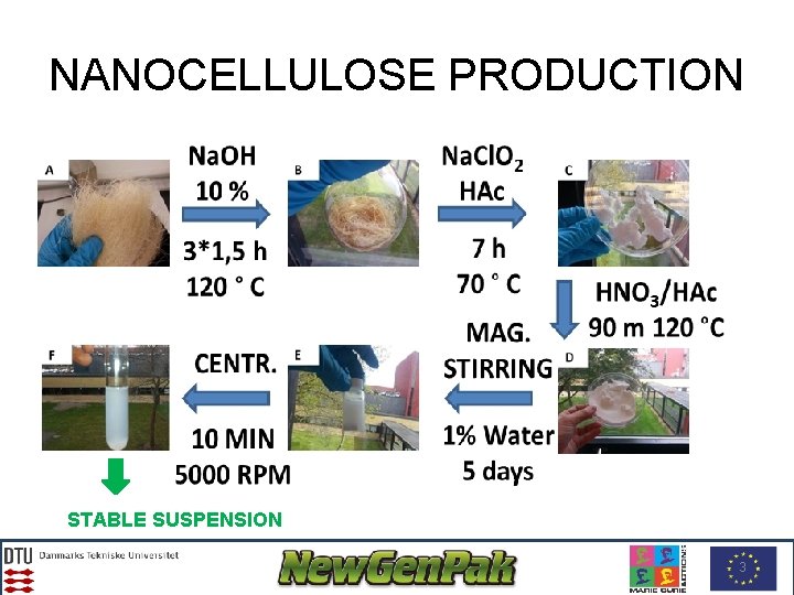 NANOCELLULOSE PRODUCTION STABLE SUSPENSION 3 