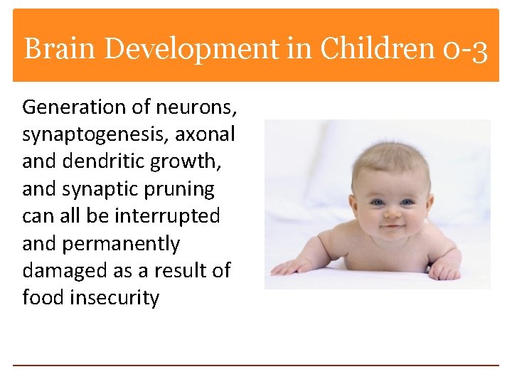 Brain Development in Children 0 -3 Generation of neurons, synaptogenesis, axonal and dendritic growth,