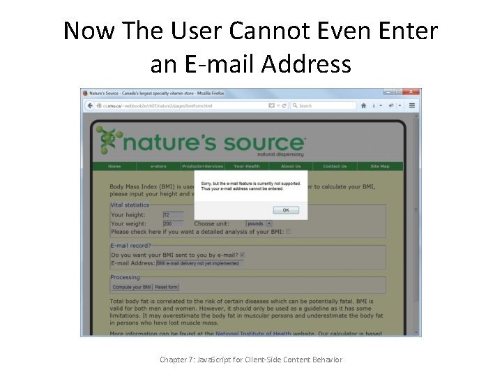 Now The User Cannot Even Enter an E-mail Address Chapter 7: Java. Script for