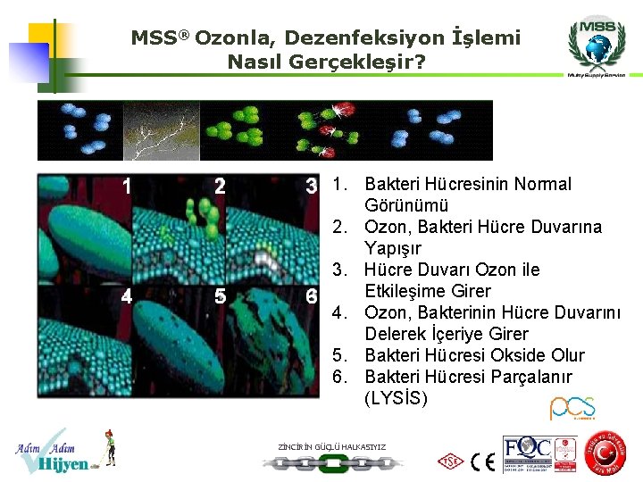 MSS® Ozonla, Dezenfeksiyon İşlemi Nasıl Gerçekleşir? 1 2 4 5 1. Bakteri Hücresinin Normal