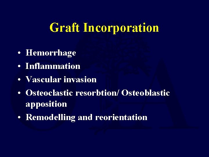 Graft Incorporation • • Hemorrhage Inflammation Vascular invasion Osteoclastic resorbtion/ Osteoblastic apposition • Remodelling