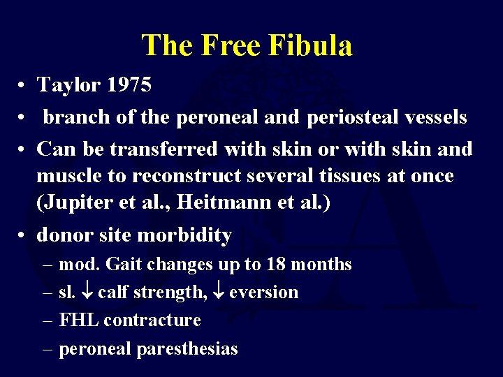 The Free Fibula • Taylor 1975 • branch of the peroneal and periosteal vessels