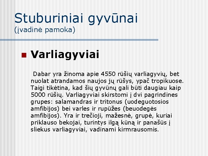 Stuburiniai gyvūnai (įvadinė pamoka) n Varliagyviai Dabar yra žinoma apie 4550 rūšių varliagyvių, bet