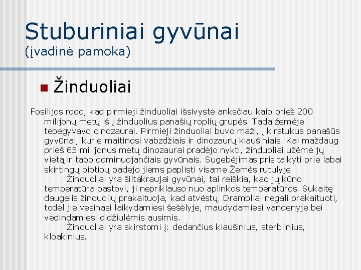 Stuburiniai gyvūnai (įvadinė pamoka) n Žinduoliai Fosilijos rodo, kad pirmieji žinduoliai išsivystė anksčiau kaip