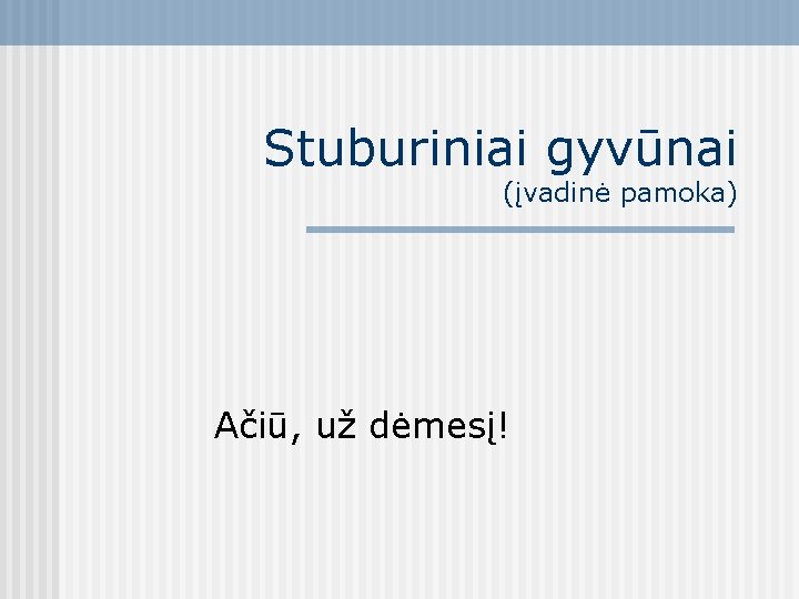 Stuburiniai gyvūnai (įvadinė pamoka) Ačiū, už dėmesį! 