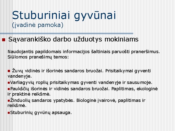 Stuburiniai gyvūnai (įvadinė pamoka) n Sąvarankiško darbo užduotys mokiniams Naudojantis papildomais informacijos šaltiniais paruošti